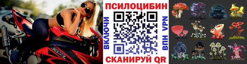 как найти закладки  Изобильный  MEGA маркетплейс  Галлюциногенные грибы GOLDEN TEACHER 